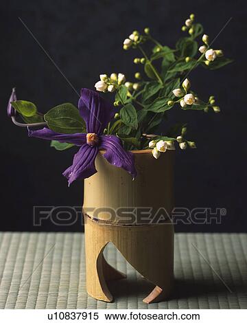 Stock Photography - Kado, Ikebana. Fotosearch