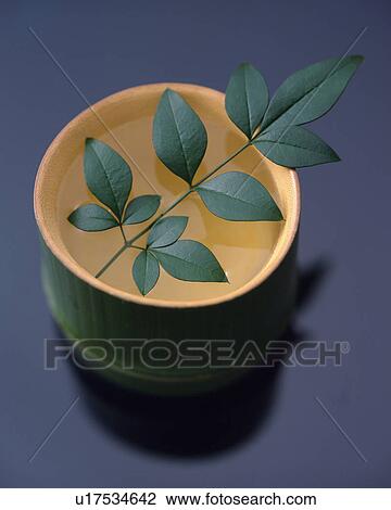 Leaf floating on the bamboo cylinder View Large Photo Image Stock Image - Leaf floating on the bamboo cylinder. Fotosearch
