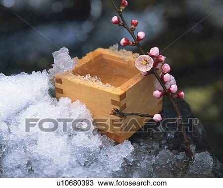 Stock Image - Measure and plum blossoms. Fotosearch