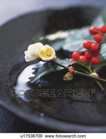 Nandin blossoms and dish View Large Photo Image Stock Photo - Nandin blossoms and dish. Fotosearch