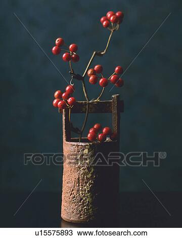 Stock Image - Nandin blossoms and flower vase. Fotosearch