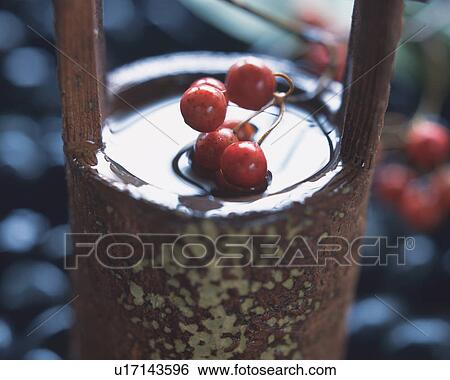 Stock Photograph - Nandin blossoms and pail. Fotosearch