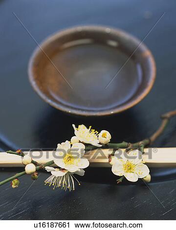 Plum blossoms and bamboo chopsticks View Large Photo Image Stock Image - Plum blossoms and bamboo chopsticks. Fotosearch