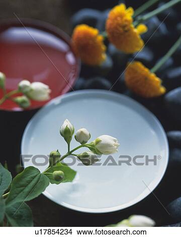 Picture - Safflowers and sake cup. Fotosearch