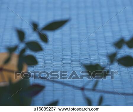 Stock Photo - Tatami and bamboo branch. Fotosearch