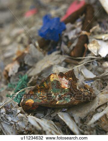 Close up of rusty crushed aluminum cans lying on landfill, Differential Focus View Large Photo Image Stock Image - Close up of rusty crushed aluminum cans lying on landfill, Differential Focus. Fotosearch