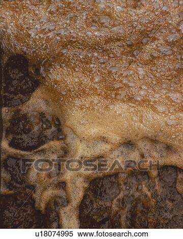 Close up of sludge, high angle view, Full Frame View Large Photo Image Stock Photography - Close up of sludge, high angle view, Full Frame. Fotosearch