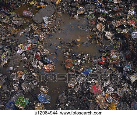 Garbage floating in pool, high angle view View Large Photo Image Picture - Garbage floating in pool, high angle view. Fotosearch
