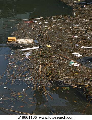 Stock Photography - Garbage floating in pool, high angle view. Fotosearch