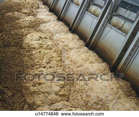 Polluted water spilling from culvert, high angle view View Large Photo Image Stock Photo - Polluted water spilling from culvert, high angle view. Fotosearch