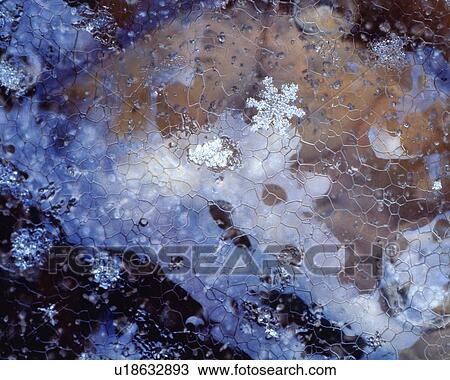 Stock Image - Icy Surface and Crystal of Snow, Close Up. Fotosearch