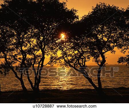 Stock Photo - Sunset at the Lake, Front View. Fotosearch