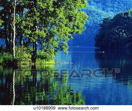 Trees and Lake, Front View View Large Photo Image Stock Photo - Trees and Lake, Front View. Fotosearch