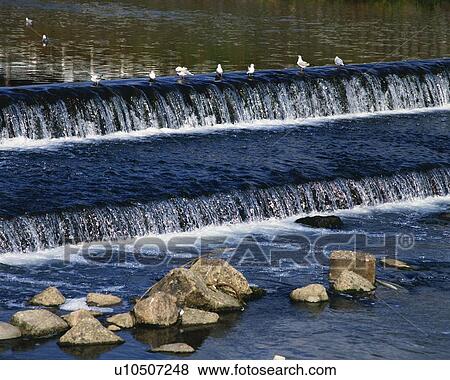 Stock Photo - Water Flow of the River, High Angle View, Pan Focus. Fotosearch