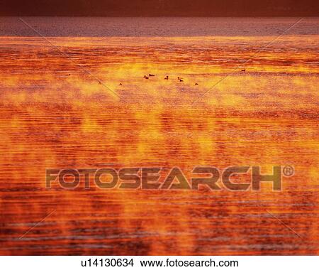 Picture - Water Surface and Sunset, High Angle View, Pan Focus. Fotosearch