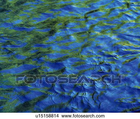 Picture - Water Surface, Close Up. Fotosearch