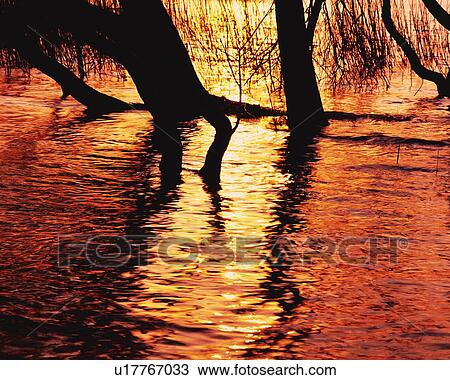 Stock Image - Water Surface of the Lake at Sunset, High Angle View, Pan Focus. Fotosearch