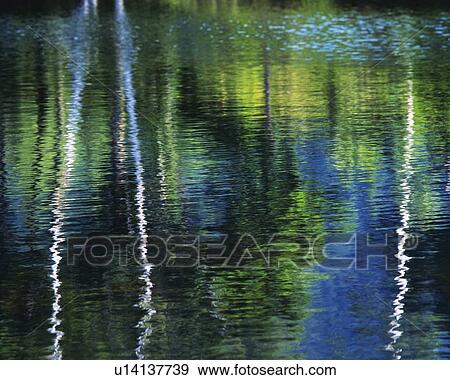 Stock Photo - Water Surface of the Lake, Close Up. Fotosearch