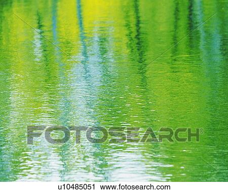 Stock Image - Water Surface of the Pond, Close Up. Fotosearch