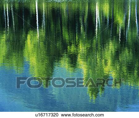 Stock Image - Water Surface of the Pond, Close Up. Fotosearch