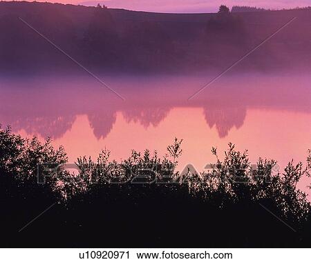 Stock Image - Water Surface of the Pond, High Angle View, Toned Image. Fotosearch