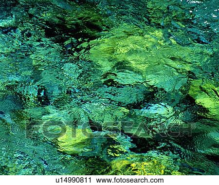 Water Surface of the River, Close Up View Large Photo Image Stock Image - Water Surface of the River, Close Up. Fotosearch