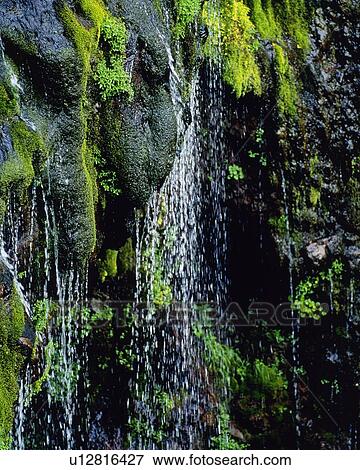 Waterfall, Close Up View Large Photo Image Stock Photo - Waterfall, Close Up. Fotosearch