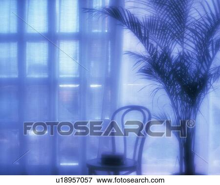 Chair and plant in the room, Silhouette, Soft Focus, Toned Image View Large Photo Image Stock Photo - Chair and plant in the room, Silhouette, Soft Focus, Toned Image. Fotosearch
