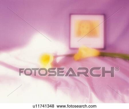 Stock Photo - Flower and picture, Close Up, High Angle View, Soft Focus. Fotosearch