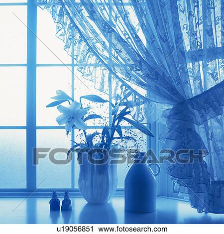 Flowers in the vase by the window, Close Up, Toned Image, Silhouette View Large Photo Image Stock Image - Flowers in the vase by the window, Close Up, Toned Image, Silhouette. Fotosearch