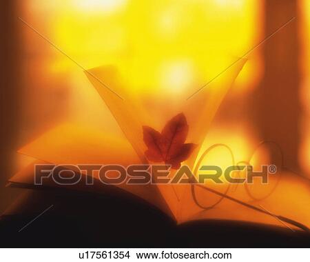 Glasses and colored leaf on the book, Close Up, Toned Image, Soft Focus View Large Photo Image Picture - Glasses and colored leaf on the book, Close Up, Toned Image, Soft Focus. Fotosearch