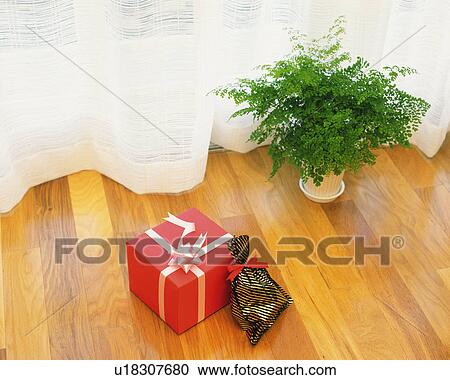 Plant and presents on the floor, High Angle View View Large Photo Image Stock Image - Plant and presents on the floor, High Angle View. Fotosearch