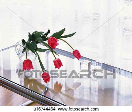 Picture - Tulips on the glass table, High Angle View. Fotosearch