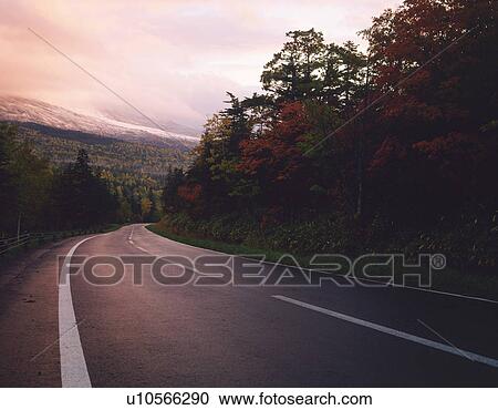 a Little Mountain Path By Sunset, Surrounded By Several Autumn-colored Trees View Large Photo Image Stock Image - a Little Mountain Path By Sunset, Surrounded By Several Autumn-colored Trees. Fotosearch