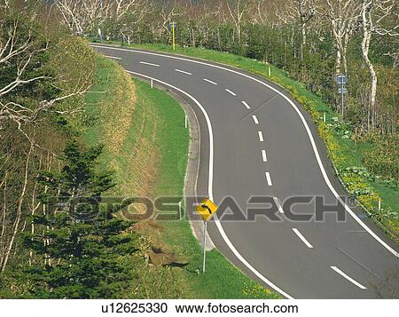 a Little Mountain Path, Surrounded By Several Trees, High Angle View View Large Photo Image Stock Image - a Little Mountain Path, Surrounded By Several Trees, High Angle View. Fotosearch
