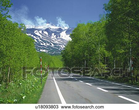 a Mountain Path Heading to a Mountain, With Several Trees on the Side View Large Photo Image Stock Image - a Mountain Path Heading to a Mountain, With Several Trees on the Side. Fotosearch