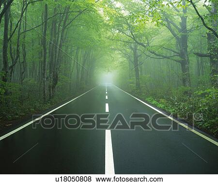 Stock Photo -  a Mountain Path Surrounded By Fog, With a Lot of Trees On the Sides, Front View. Fotosearch
