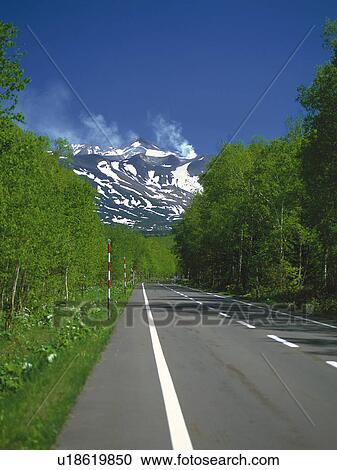 Stock Image -  a Mountain Path With Several Trees on the Side, Heading to a Snowy Mountain. Fotosearch