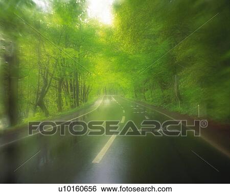 Stock Photograph -  a Mountain Path With Several Trees on the Side, Defocused, Soft Focus. Fotosearch