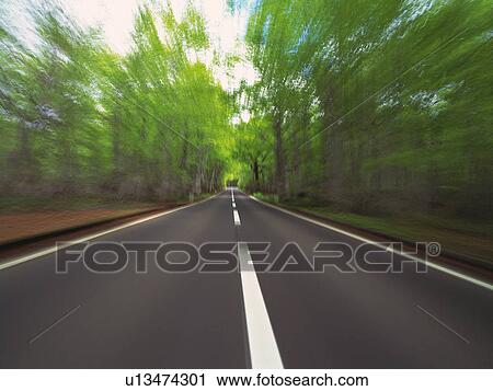 a Road, Surrounded By Several Trees, Front View, Blurred Motion View Large Photo Image Stock Image - a Road, Surrounded By Several Trees, Front View, Blurred Motion. Fotosearch