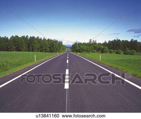 a Road Under a Blue Sky, Surrounded By a Grassfield and a Forest, Front View View Large Photo Image Stock Image - a Road Under a Blue Sky, Surrounded By a Grassfield and a Forest, Front View. Fotosearch