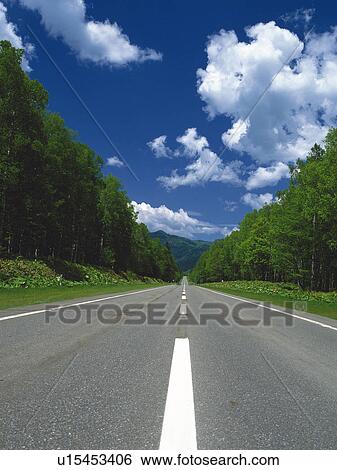a Road With Several Trees on the Side Under a Blue Sky, Front View View Large Photo Image Stock Photograph - a Road With Several Trees on the Side Under a Blue Sky, Front View. Fotosearch