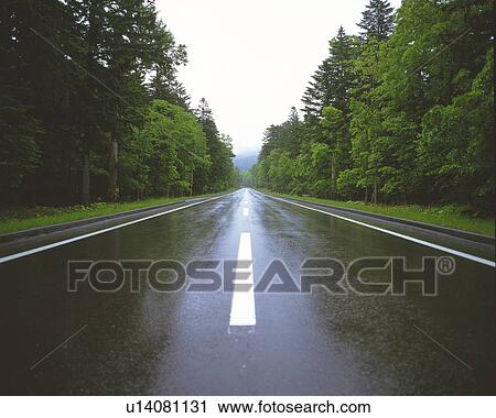 Stock Image -  an Asphalt Road on a Rainy Day, the Road Wet From the Rain, Front View. Fotosearch