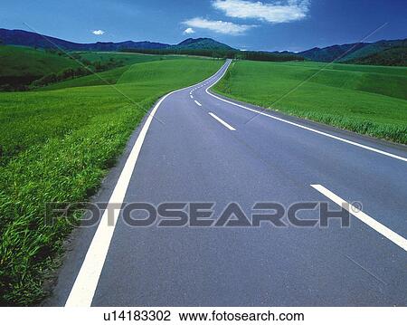 Stock Image -  an Asphalt Road, Surrounded By a Huge Flat Green Land. Fotosearch