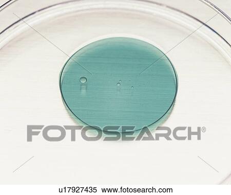 Stock Photography -  a Small Drip of Green Oil on a Flat Glass Flask, High Angle View. Fotosearch