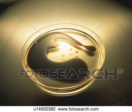 Stock Image - Black-colored Oil in a Flat Glass Bin, Partly Shined On With Light, High Angle View. Fotosearch