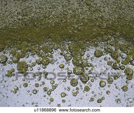 Stock Photograph - Olive-colored Oil, Containing a Lot of Bubbles, High Angle View. Fotosearch