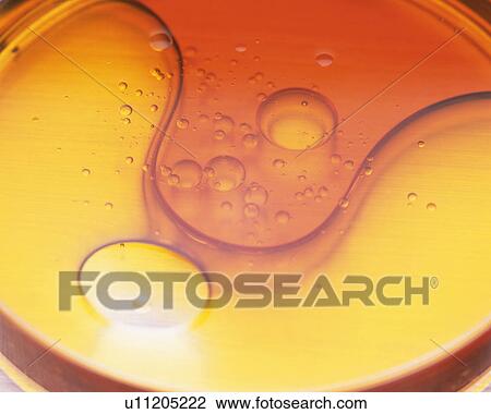 Stock Image - Yellow-colored Oil in a Flat Glass Flask, Containing Several Bubbles, High Angle View. Fotosearch