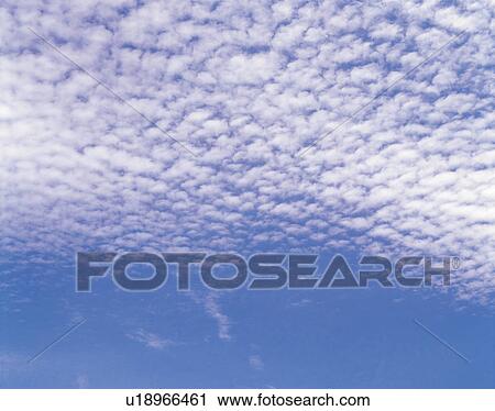 Fleecy Clouds Floating in the Blue Sky, Low Angle View View Large Photo Image Stock Image - Fleecy Clouds Floating in the Blue Sky, Low Angle View. Fotosearch