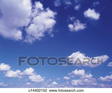 Several Clouds Under a Blue Sky, Low Angle View View Large Photo Image Stock Image - Several Clouds Under a Blue Sky, Low Angle View. Fotosearch